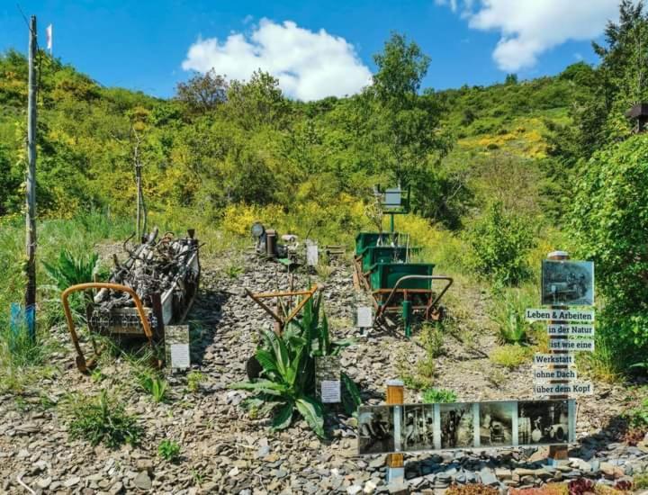 Ferienhaus Heimes Klotten Dış mekan fotoğraf
